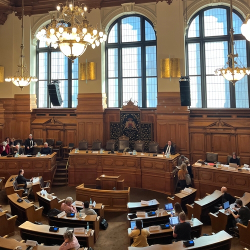 Rede des tschechischen Botschafters in Hamburg  -  Tomáš Kafka zur EU-Ratspräsidentschaft 