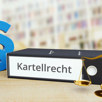 Google und das Kartellrecht - Verstöße gegen das Kartellrecht in EU und USA