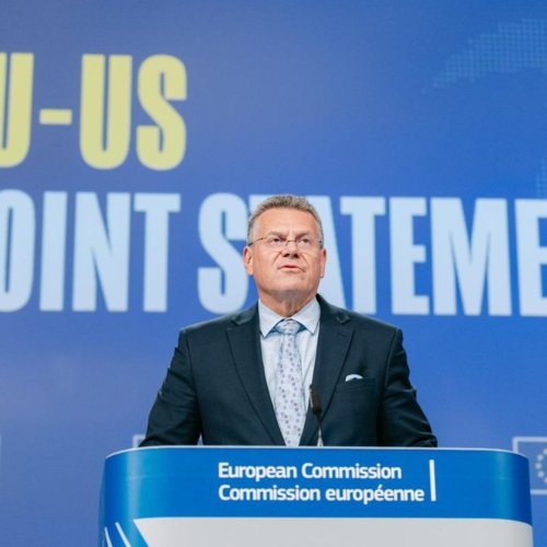 Schaffung eines Rahmens für transatlantischen Handel und Investitionen  - Schaffung eines Rahmens für transatlantischen Handel und Investitionen 