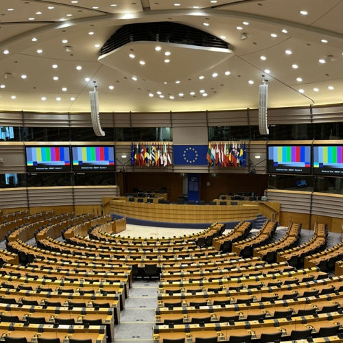  Europäisches Parlament konstituiert sich in erster Sitzung nach Europawahl  - Aus Fraktionsausschluss der AfD geht neue Rechtsaußen-Fraktion hervor